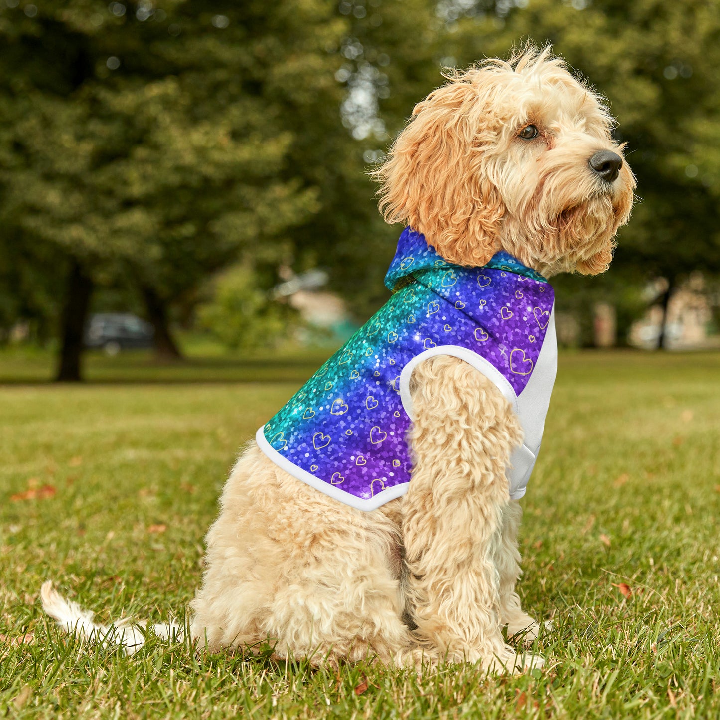 Heart of Gold "Sparkle" Pet Hoodie (Free Shipping!)