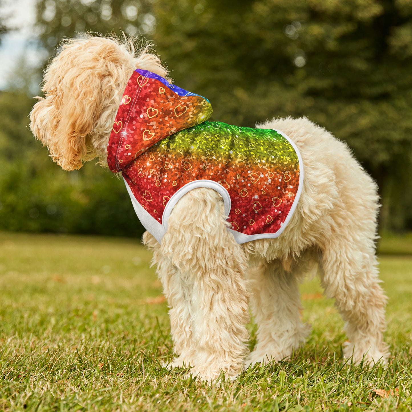 Heart of Gold "Sparkle" Pet Hoodie (Free Shipping!)