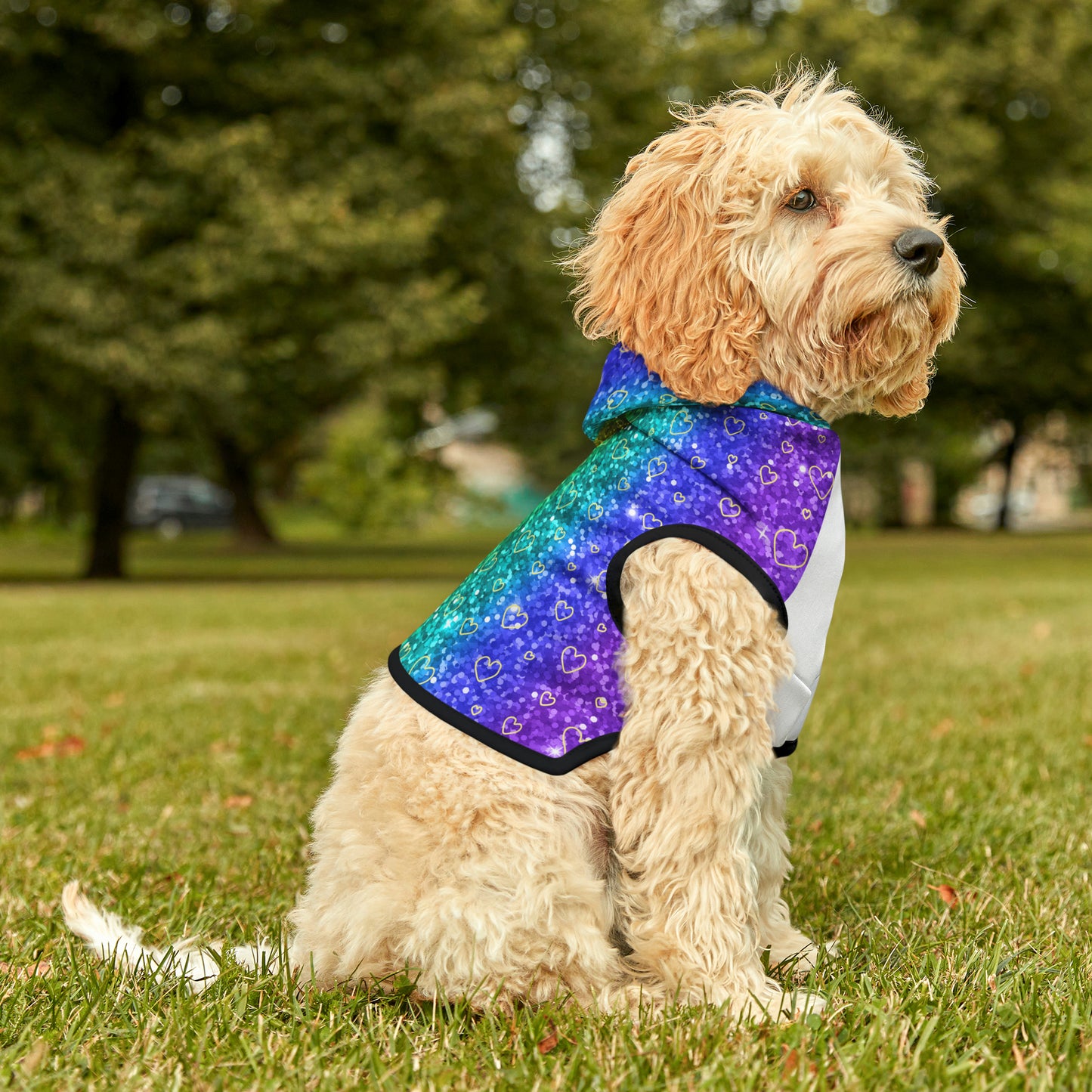 Heart of Gold "Sparkle" Pet Hoodie (Free Shipping!)