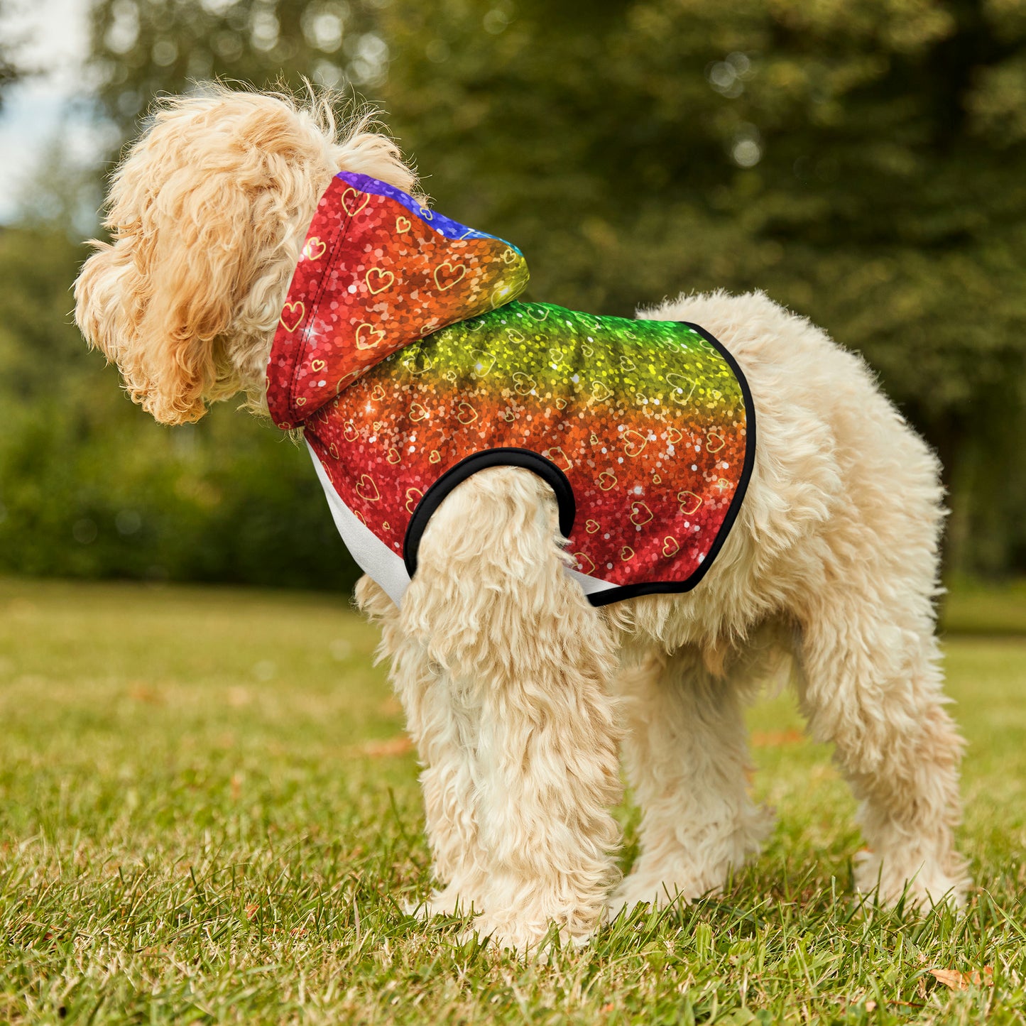 Heart of Gold "Sparkle" Pet Hoodie (Free Shipping!)